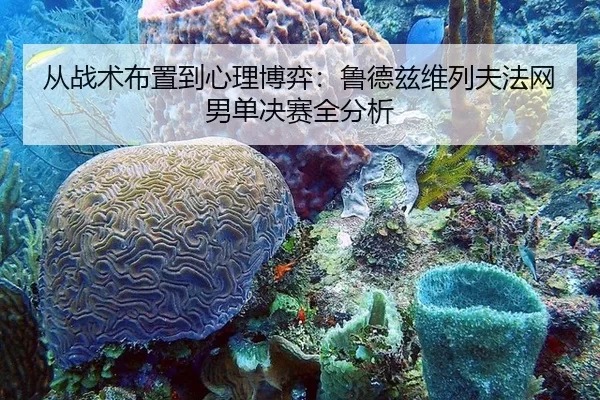 从战术布置到心理博弈：鲁德兹维列夫法网男单决赛全分析
