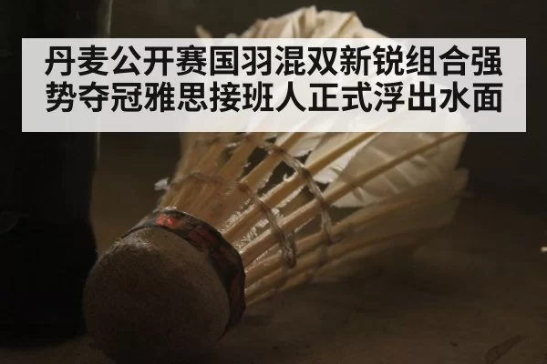 丹麦公开赛国羽混双新锐组合强势夺冠雅思接班人正式浮出水面